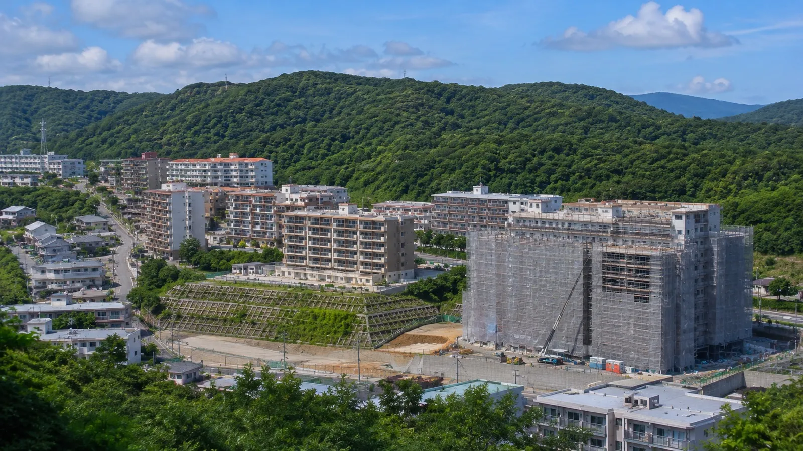 名護・北部の家賃高騰とジャングリア効果｜沖縄北部に移住する前に知る住まい事情